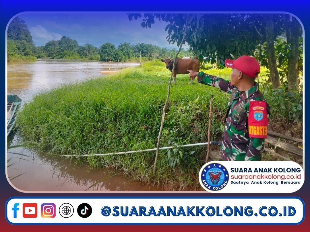 Babinsa 1209-07/Jgb Tinjau Langsung Lokasi Wilayah Binaan Yang Rawan Banjir