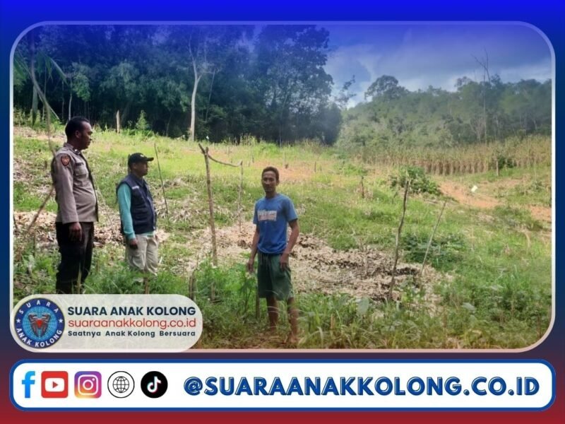 Koordinasi dan Pengecekan Lahan untuk Tanam Jagung Serentak di Dusun Saboro
