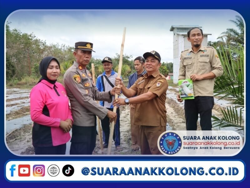 Pemdes Belonsat Bersama Polsek Belimbing Laksanakan Penanaman Jagung Dukung Program Ketahanan Pangan