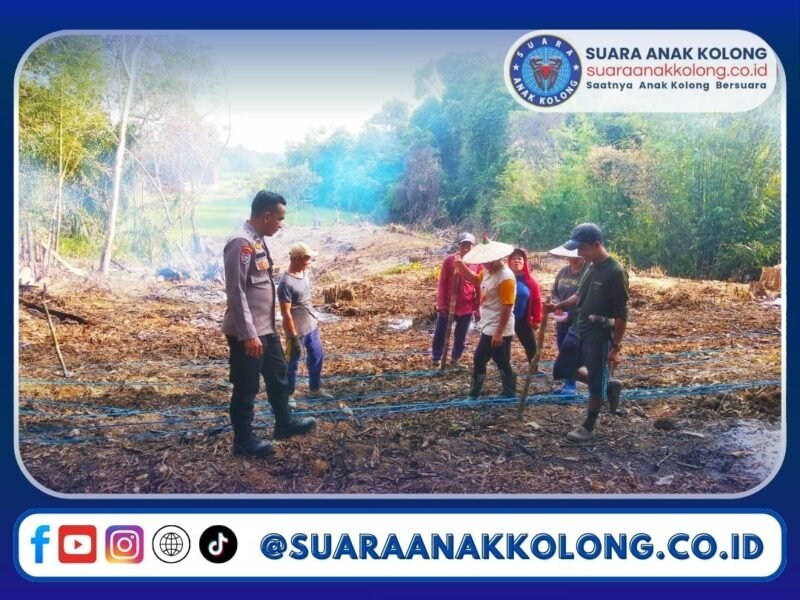 Kegiatan ini berlangsung di lahan seluas 3 hektare milik kelompok tani di Dusun Pak Liung, Desa Sebangki, Kecamatan Sebangki, Kabupaten Landak (14-02-25).