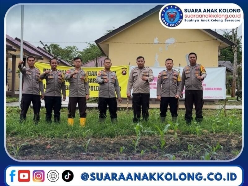 Dukung Ketahanan Pangan, Kapolsek Jagoi Babang dan Bhabinkamtibmas Lakukan Pemupukan di Lahan P2B