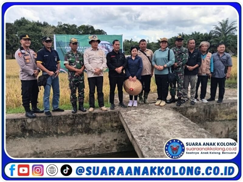 Sinergi Ketahanan Pangan: Kapolsek dan Forkopimcam Sengah Temila Hadiri Panen Raya Virtual Bersama Presiden